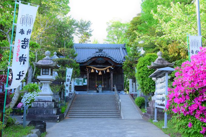 神社